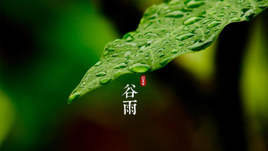 谷雨|喝一杯純凈好水，沐一場人間春色